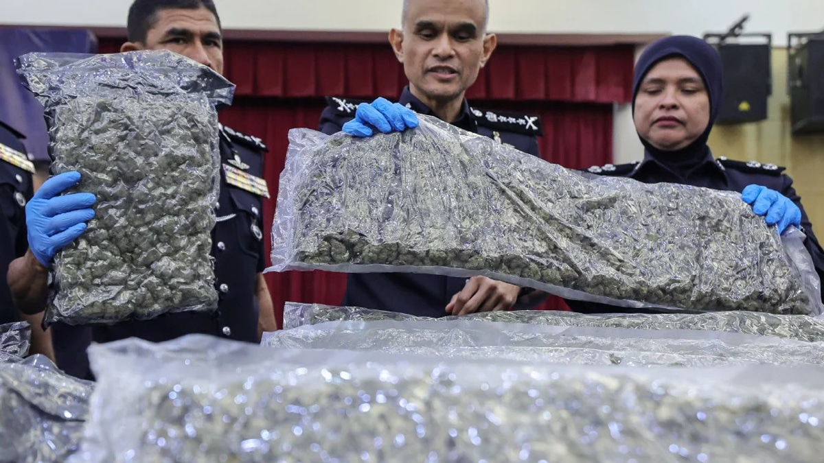 Police Smash Major Cannabis Ring at KLIA with 650kg Haul and 38 Arrests