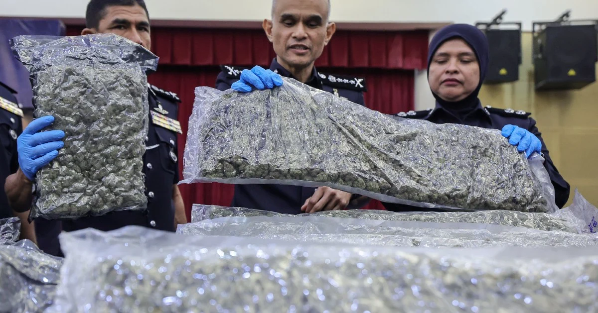 Police Smash Major Cannabis Ring at KLIA with 650kg Haul and 38 Arrests