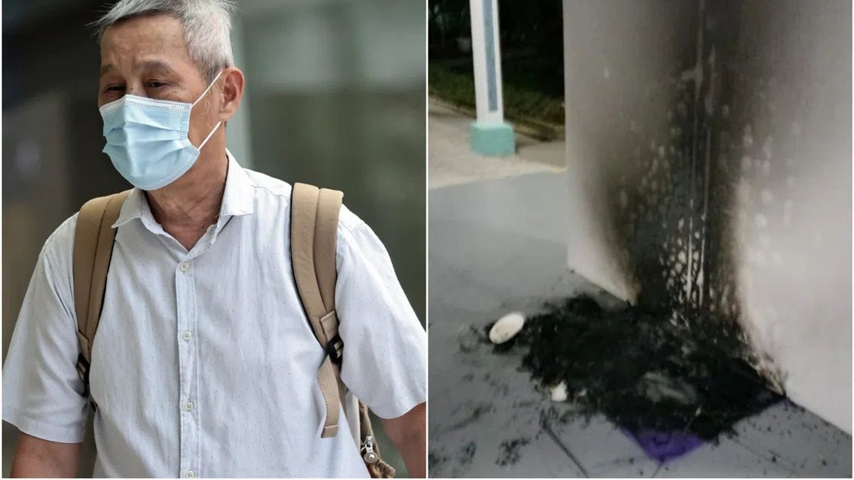 Singapore man jailed three months for torching community cat shelters in dispute over void deck