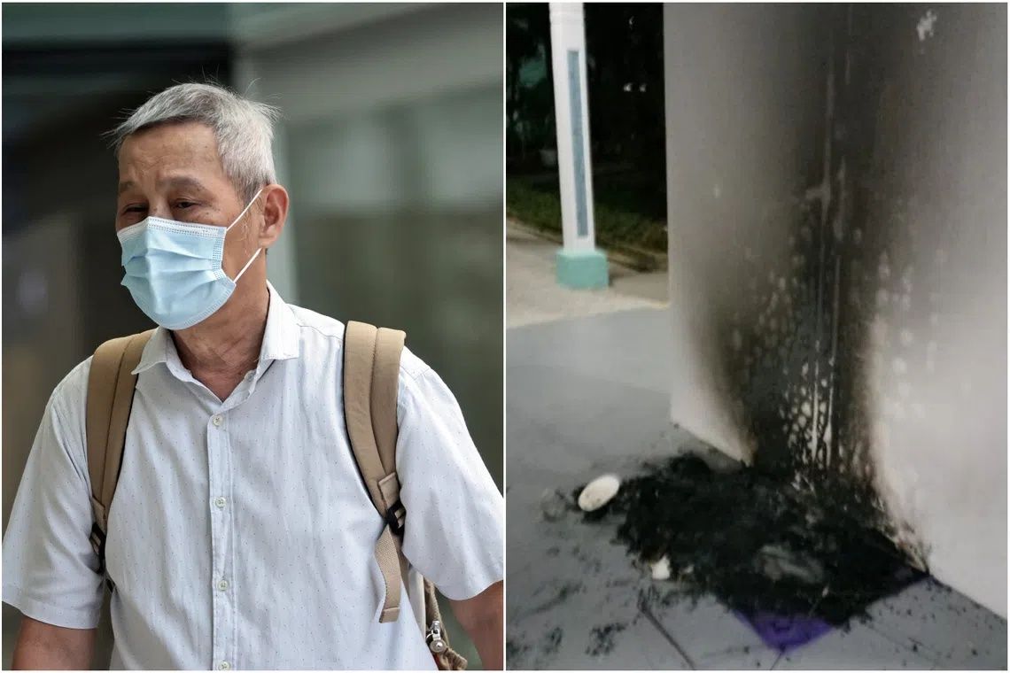 Singapore man jailed three months for torching community cat shelters in dispute over void deck