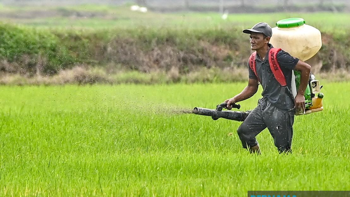 Kelantan Invests RM3.64 Million in Agriculture Push as State Eyes Food Security Goals