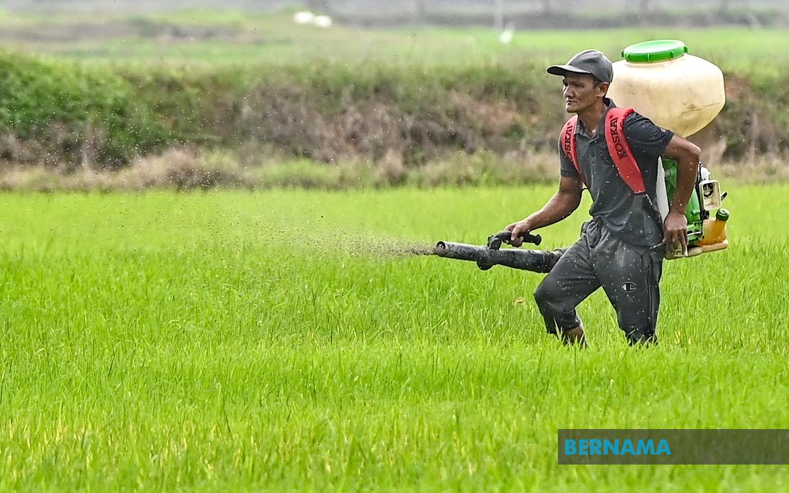 Kelantan Invests RM3.64 Million in Agriculture Push as State Eyes Food Security Goals