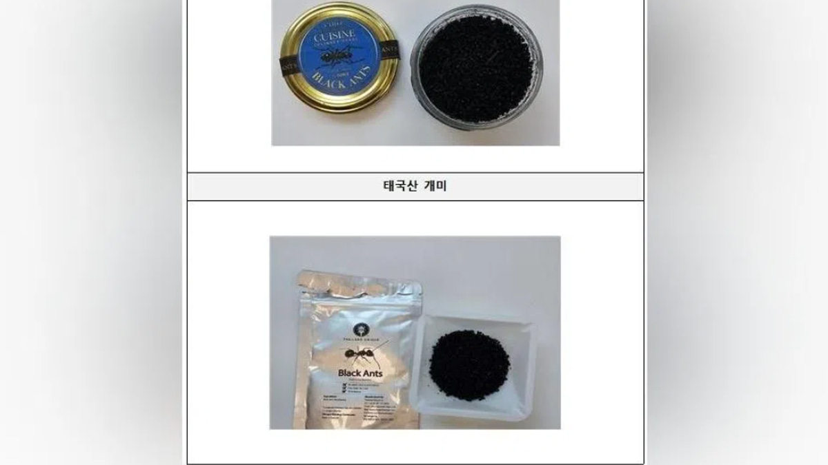 South Korean Michelin-starred chef faces jail time over illegal ant garnish