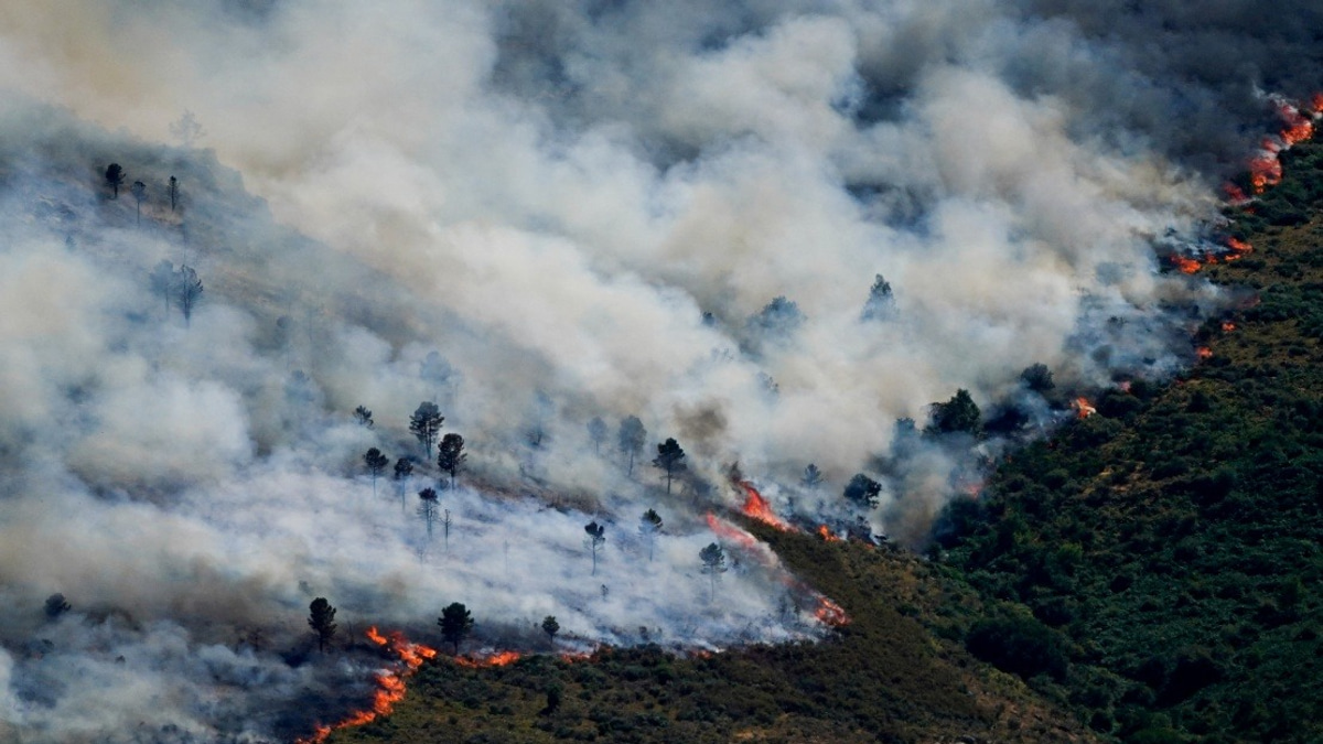 Spain Declares National Emergency as Wildfires Force Nearly 60,000 to Evacuate