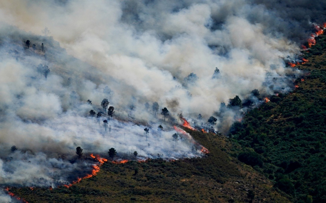 Spain Declares National Emergency as Wildfires Force Nearly 60,000 to Evacuate