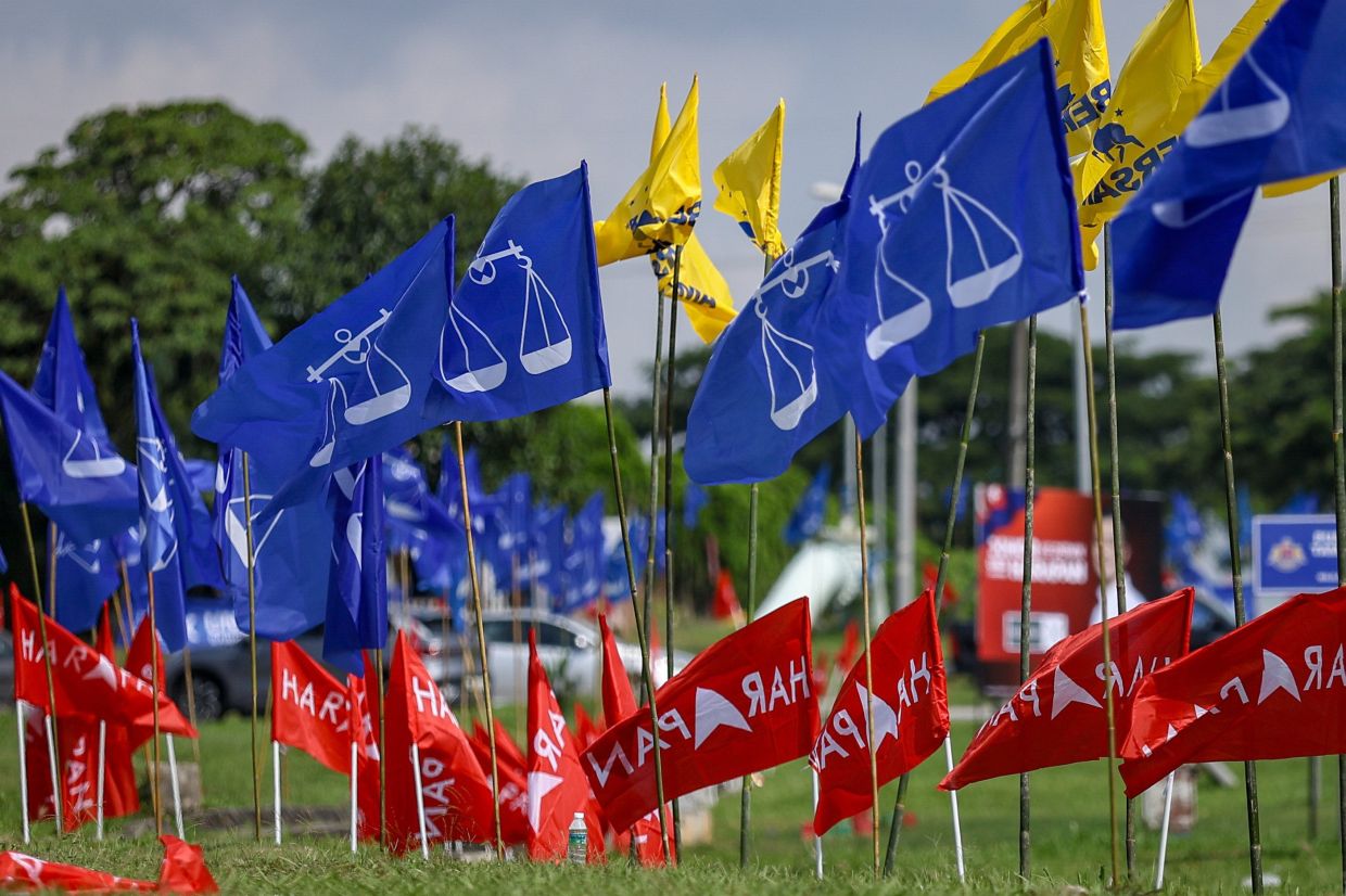 Johor election signals Malaysia's democratic maturation despite coalition complexity