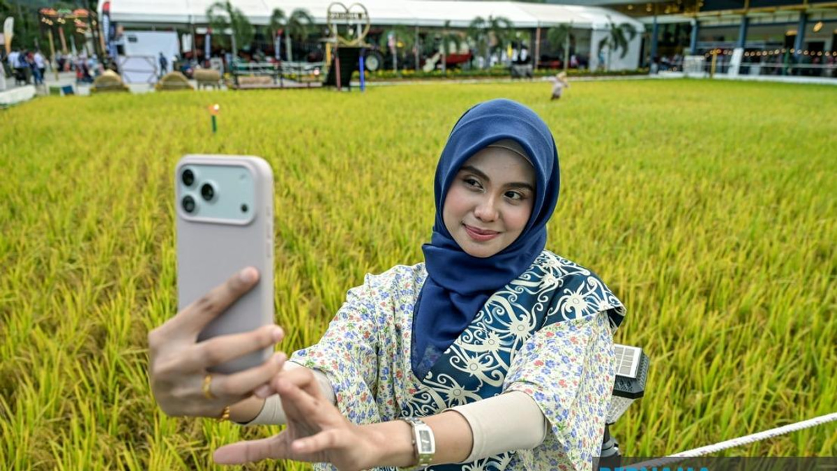 Malaysia Sets Paddy Art Record at MAHA 2026 with Patriotic Rice Field Display