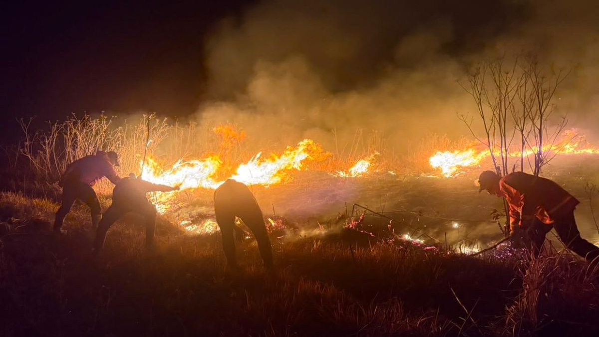 Mount Bromo wildfire balloons to 520 hectares as East Java battles escalating blaze