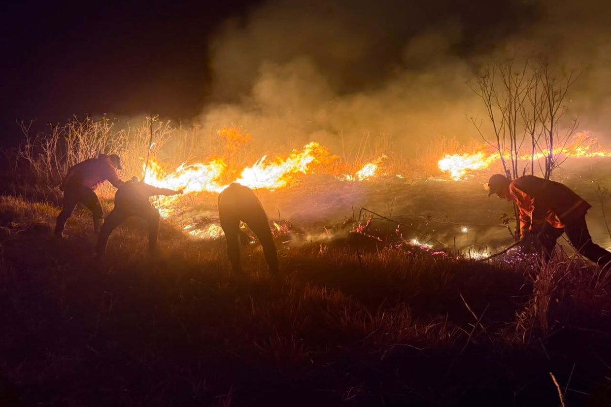 Mount Bromo wildfire balloons to 520 hectares as East Java battles escalating blaze
