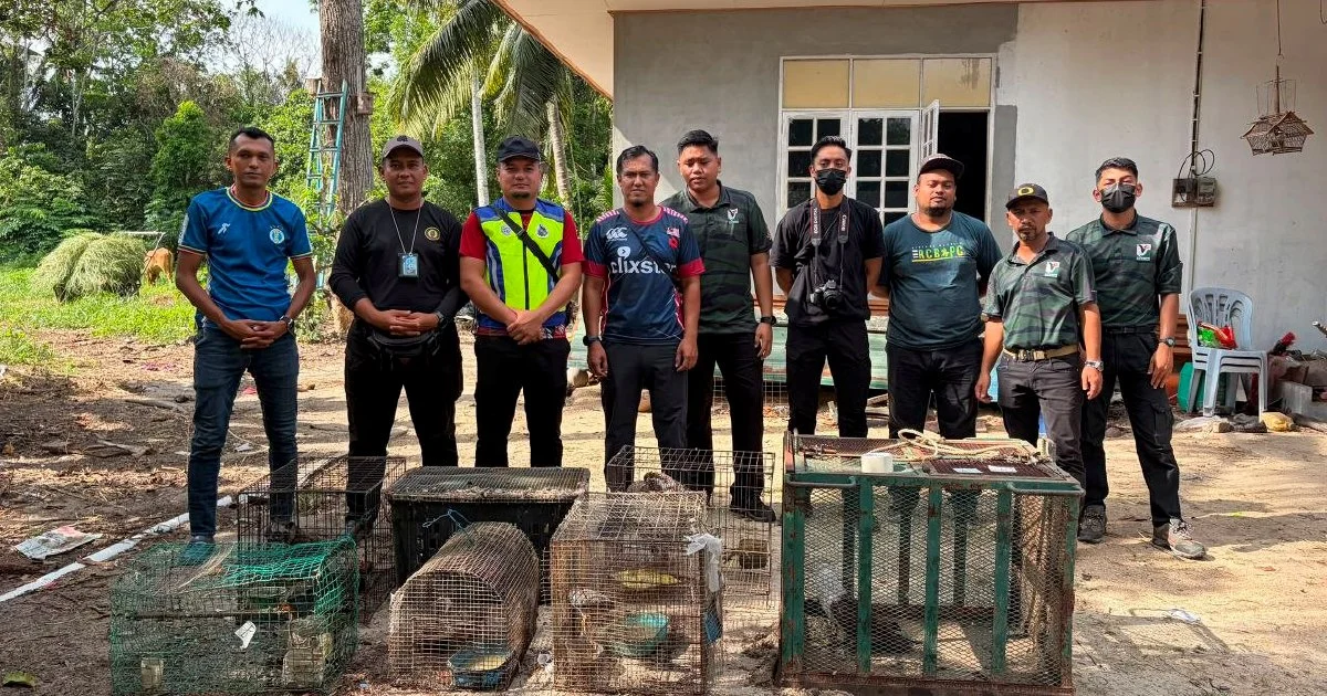 Teenager in Kelantan arrested with protected animals worth RM48,500