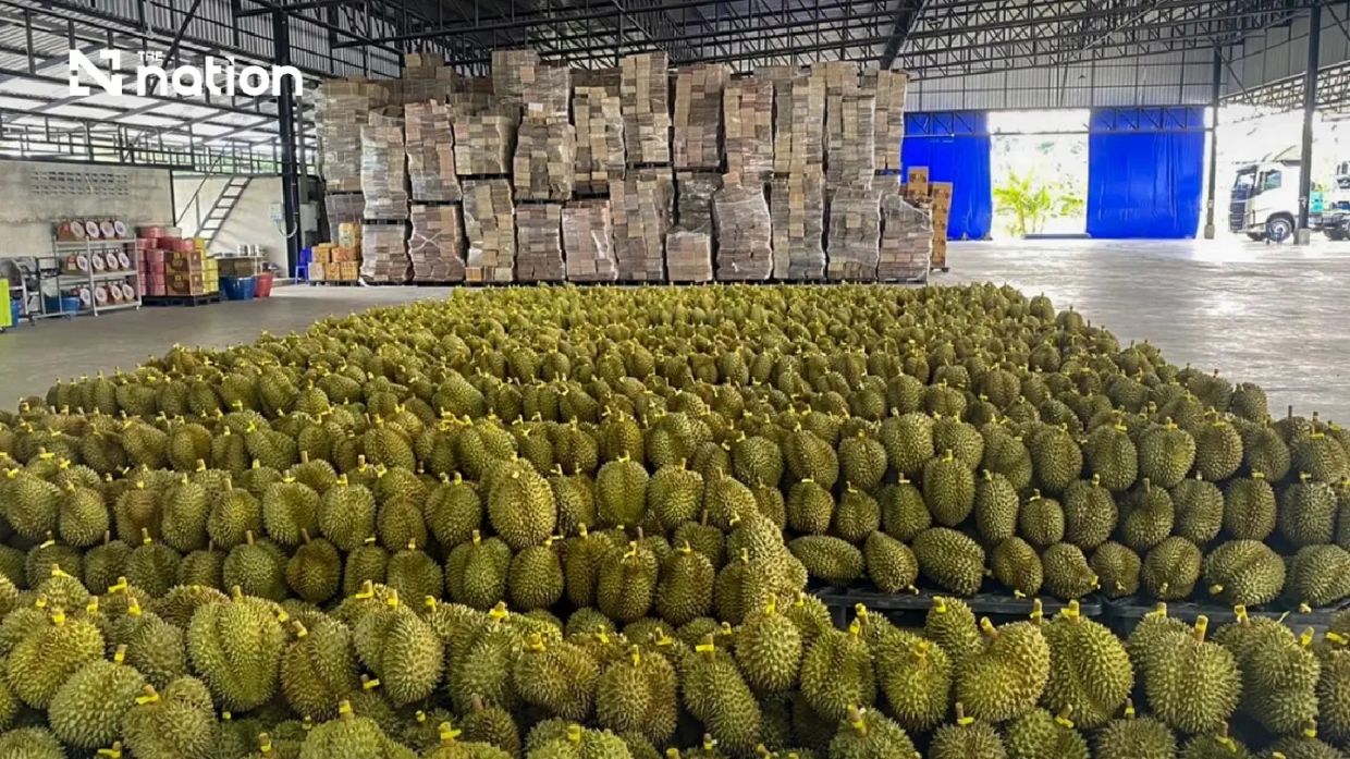 Thailand's Durian Boom: Fresh Exports to China Surpass THB100 Billion in First Half of 2026