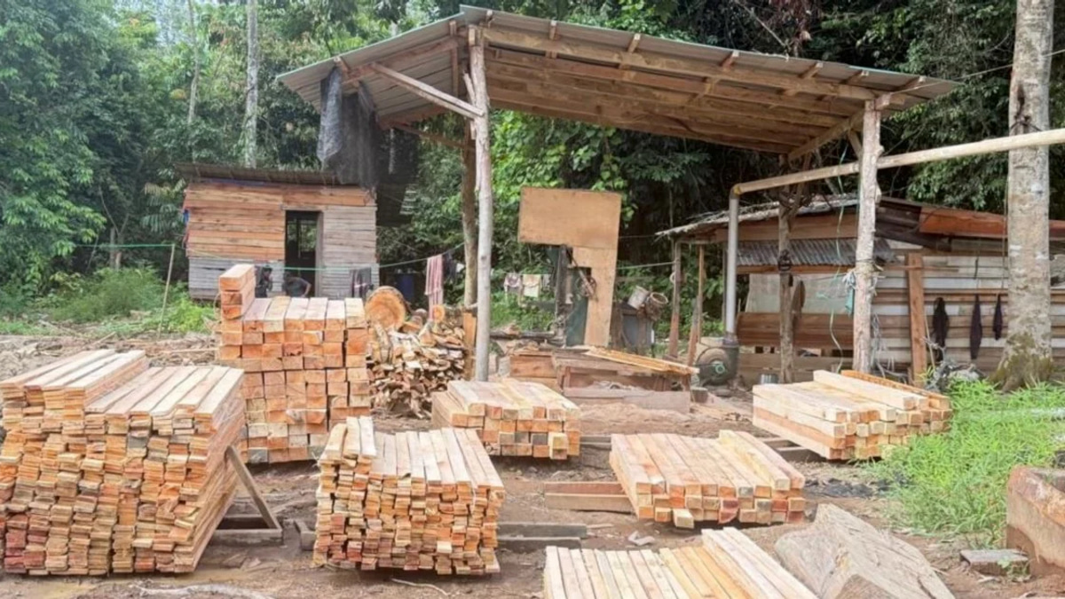 Five held as authorities seize RM1.69 million in illegal timber operation bust