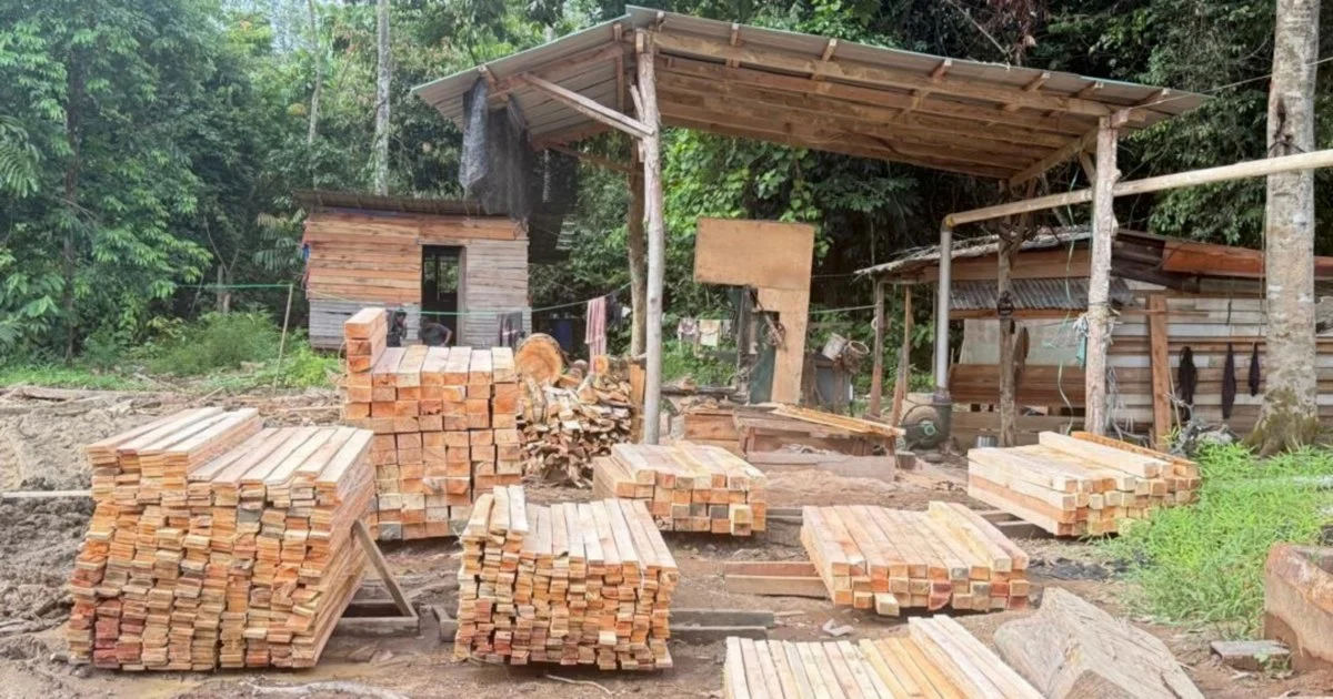 Five held as authorities seize RM1.69 million in illegal timber operation bust