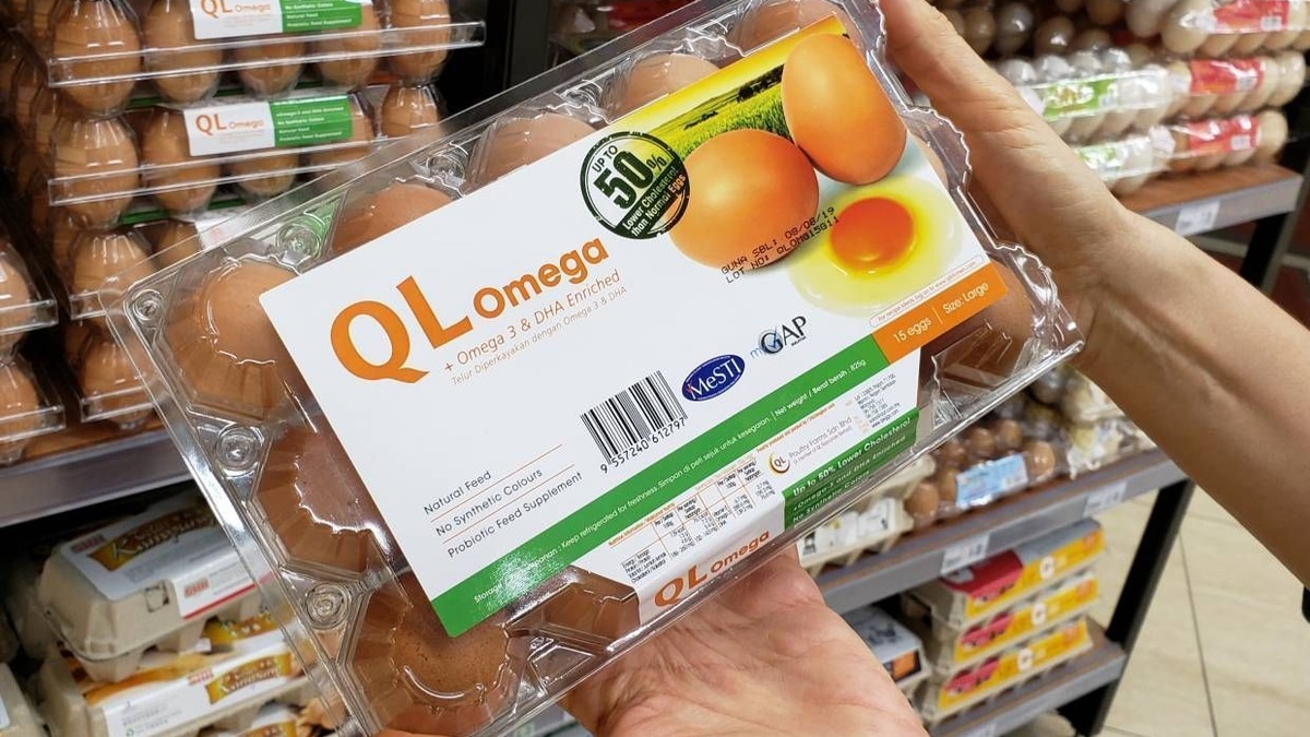 QL Resources maintains operational strength despite valuation downgrade