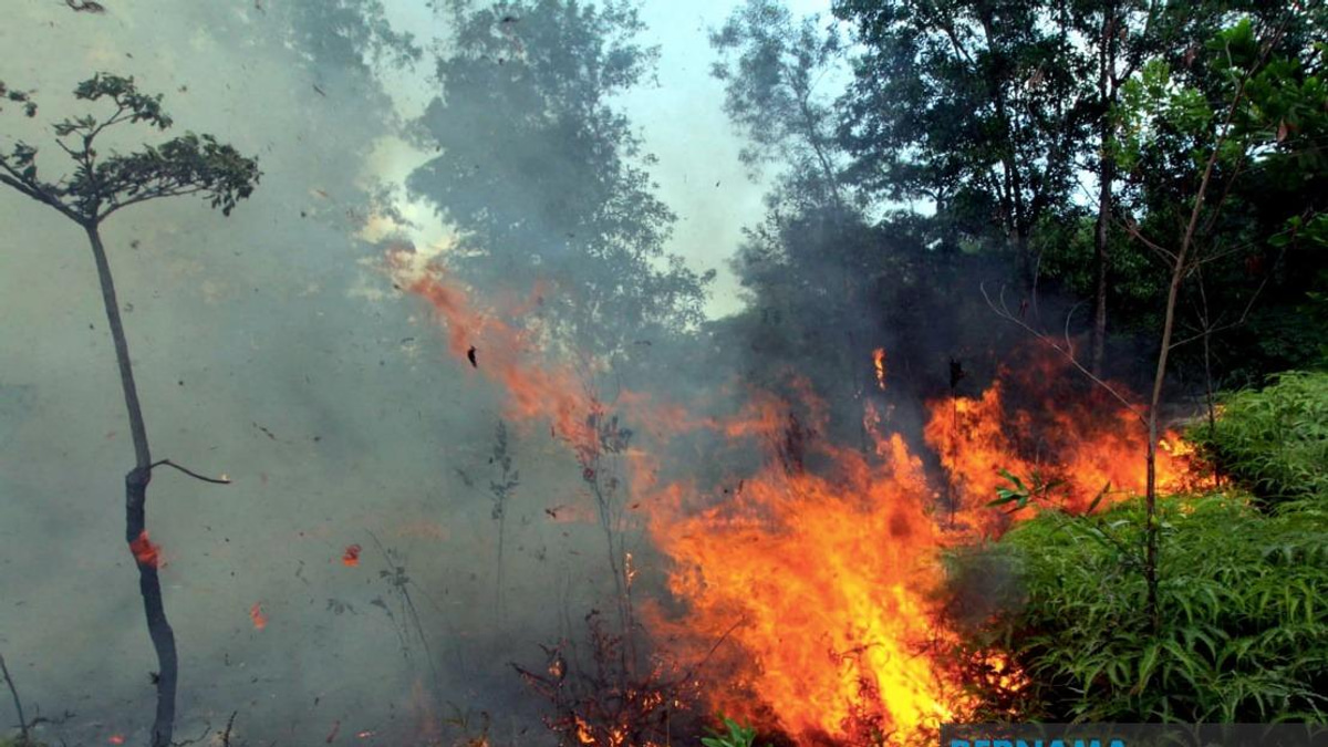 Sabah Fights Transboundary Haze as Indonesian Fires Worsen Air Quality