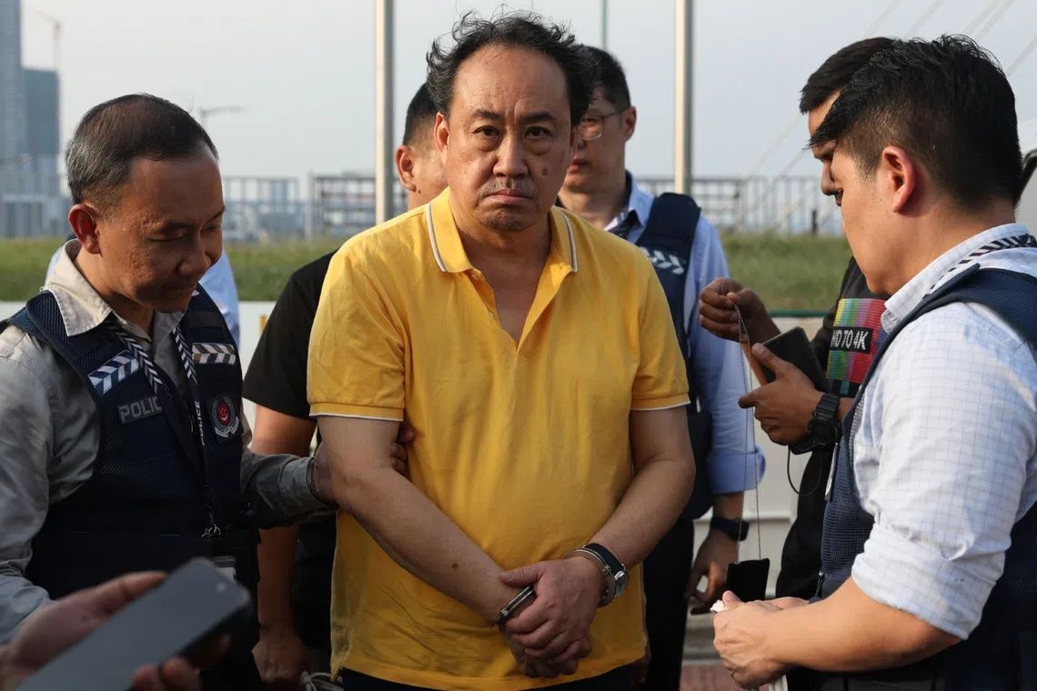 Singaporean Lawyer Lim Tean Deported After Arrest in Johor for Skipping Jail Term