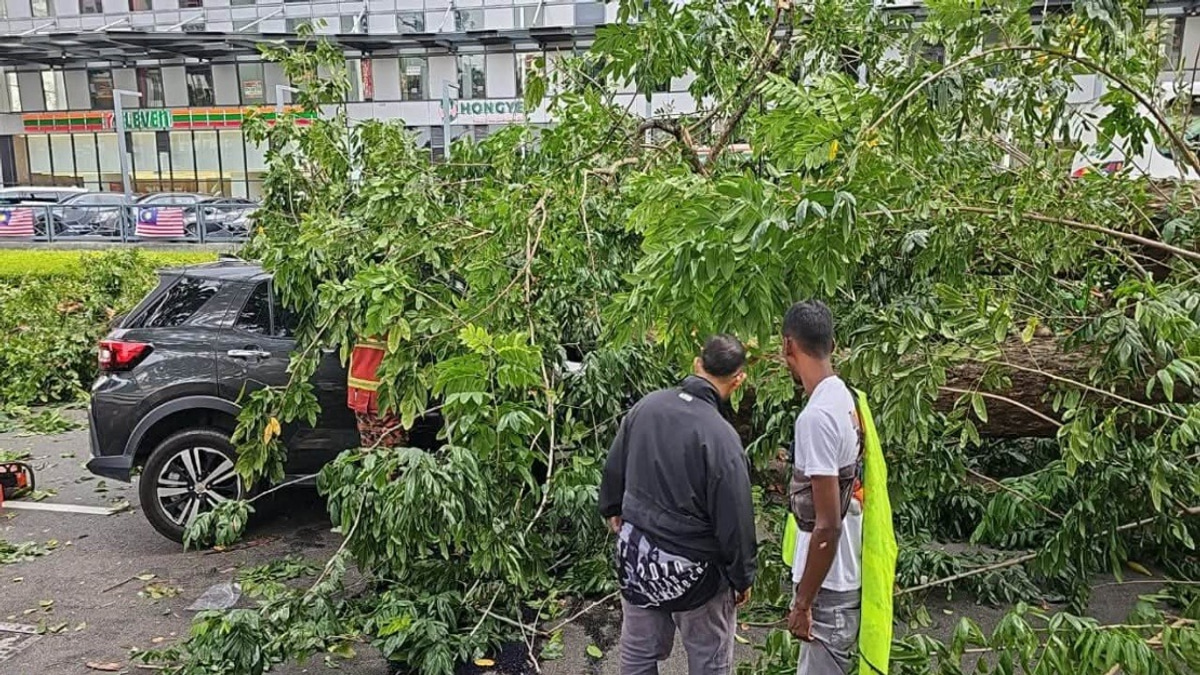 Three Injured as Fallen Tree Crushes Vehicle on Penang Street