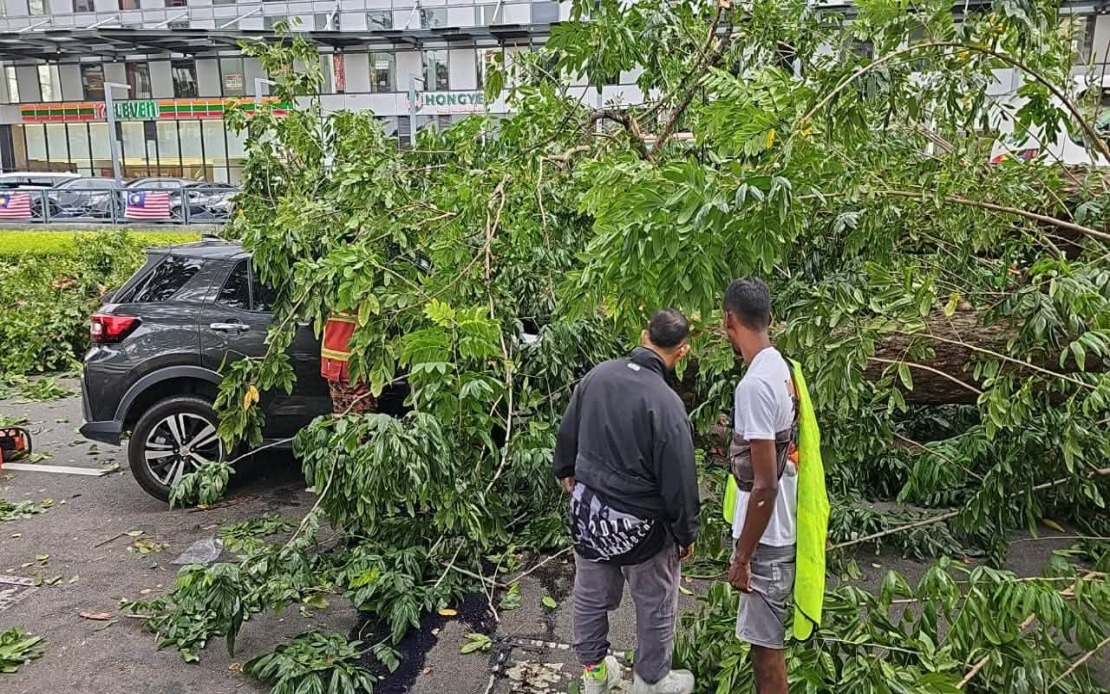 Three Injured as Fallen Tree Crushes Vehicle on Penang Street