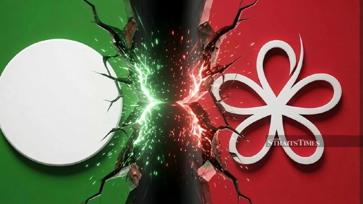 PAS MP cautions Bersatu against contesting state elections, warns of inadvertent Pakatan Harapan gain
