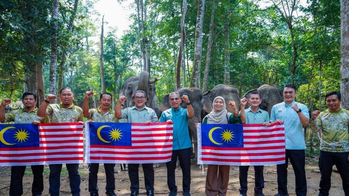 Malaysia's Wildlife Ministry Seeks New Solutions to Curb Human-Animal Encounters