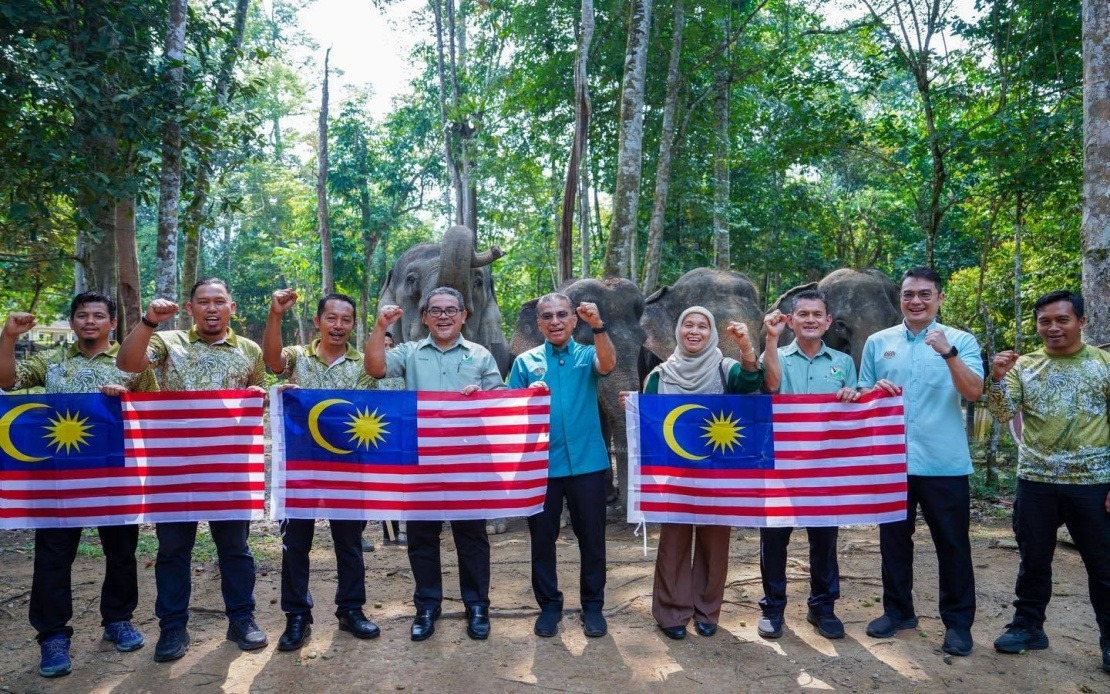 Malaysia's Wildlife Ministry Seeks New Solutions to Curb Human-Animal Encounters