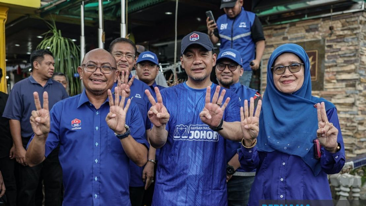 BN's Power-Sharing Model Rests on Sacrifice and Party Discipline, Says Johor Chief