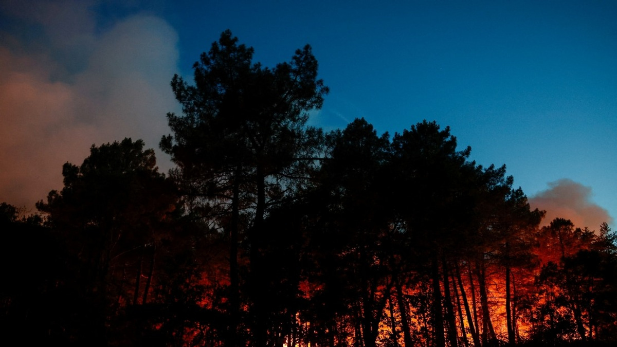 Massive Wildfire Ravages Fontainebleau Forest as France Battles Extreme Heat