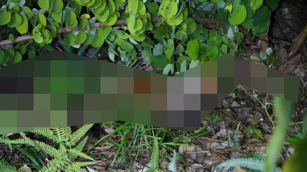 10-Year-Old Girl Found Dead in Sabah; Two Men Arrested on Murder Charges