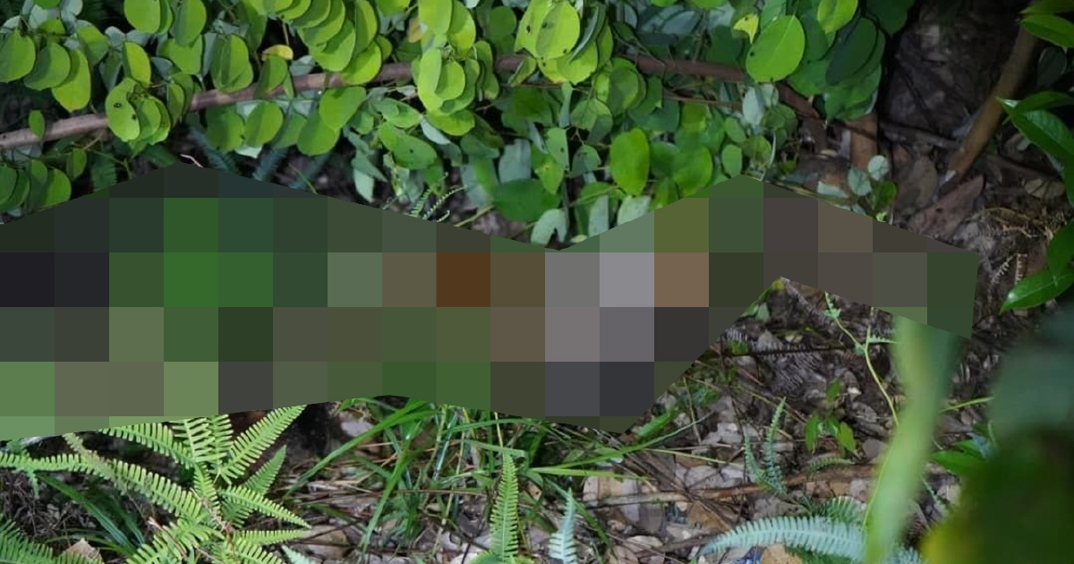 10-Year-Old Girl Found Dead in Sabah; Two Men Arrested on Murder Charges