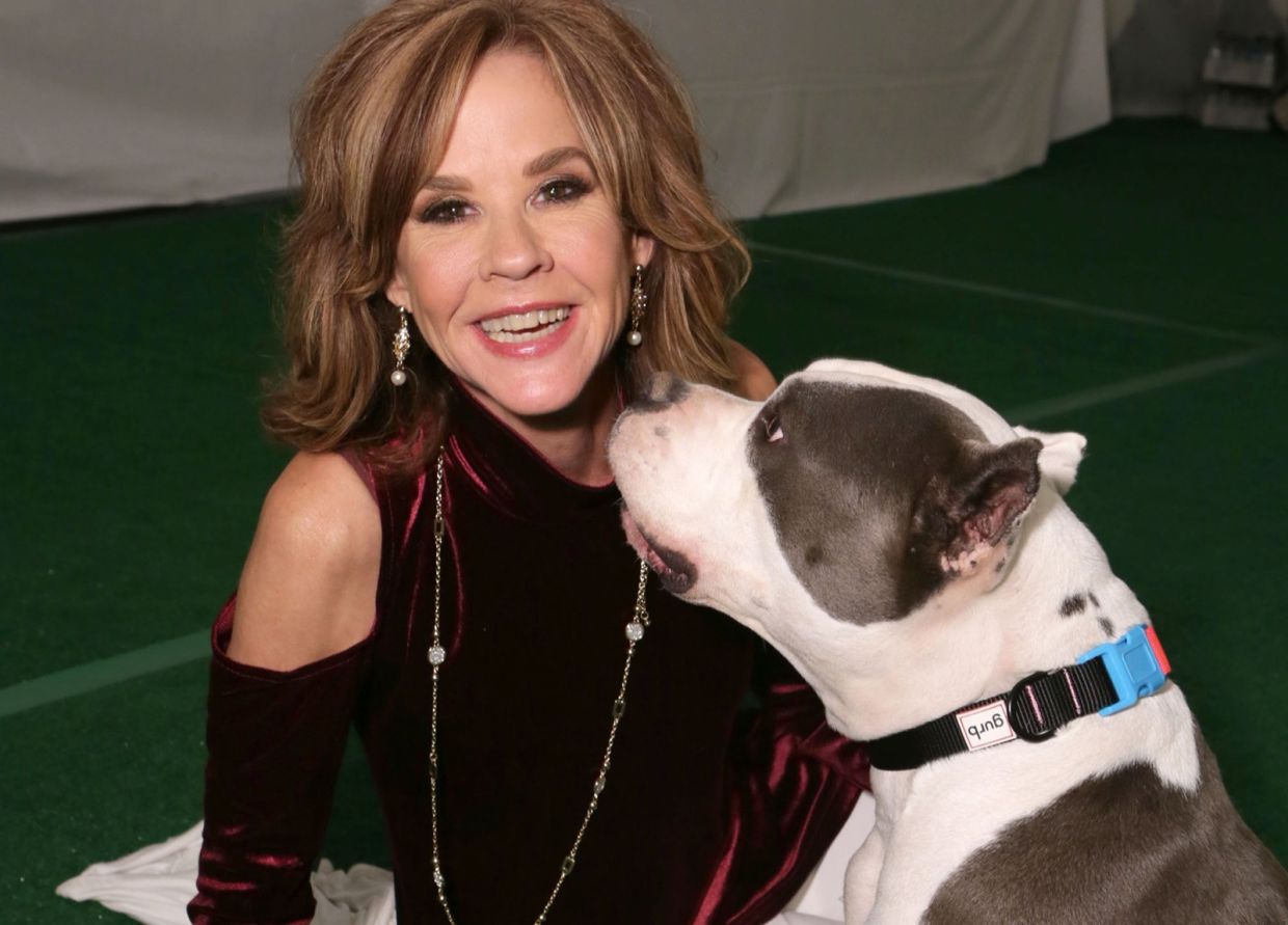 Linda Blair's Animal Rescue Operation Faces California Regulatory Scrutiny