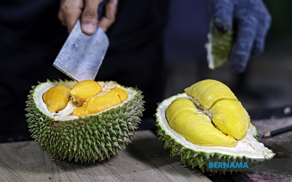 FAMA Ramps Up Durian Push in Penang Ahead of Peak Season
