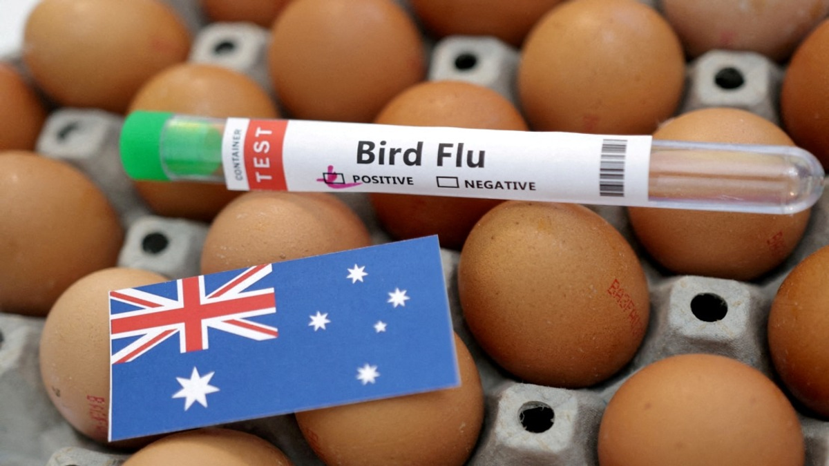 Australia Confirms First Local H5N1 Case as Bird Flu Spreads Beyond Migratory Species