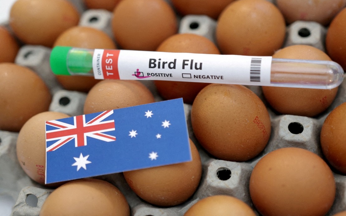 Australia Confirms First Local H5N1 Case as Bird Flu Spreads Beyond Migratory Species