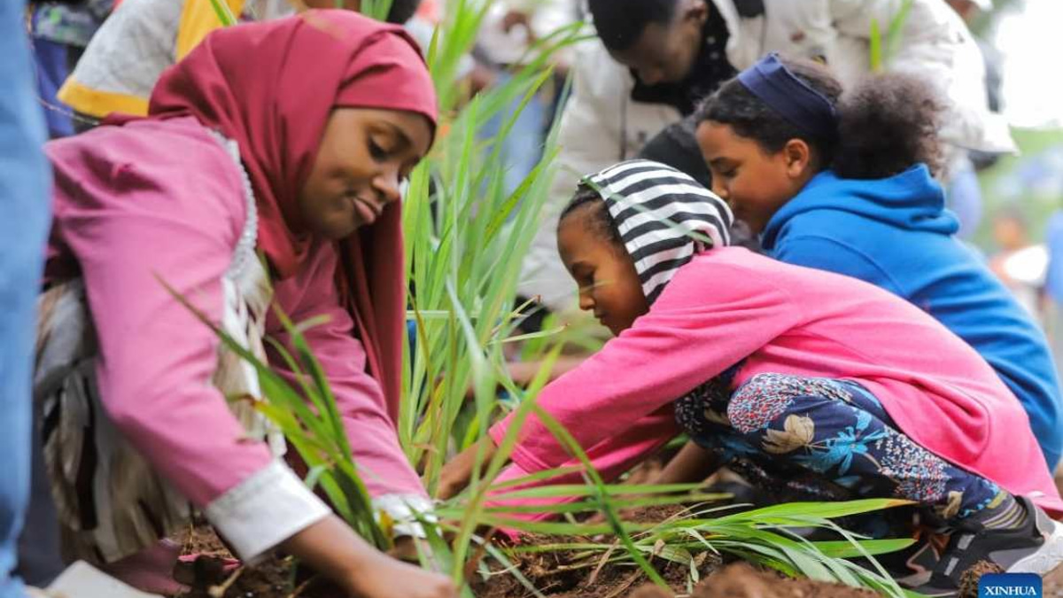 Ethiopia Plants 800 Million Trees in Single Day, Accelerating Reforestation Drive
