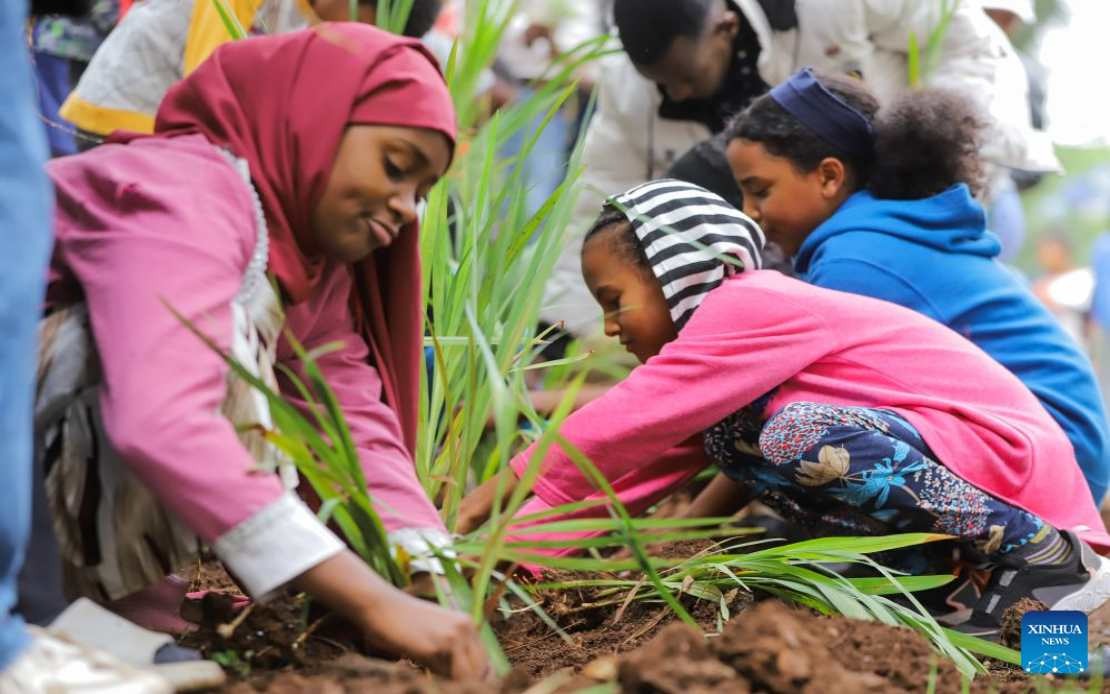 Ethiopia Plants 800 Million Trees in Single Day, Accelerating Reforestation Drive