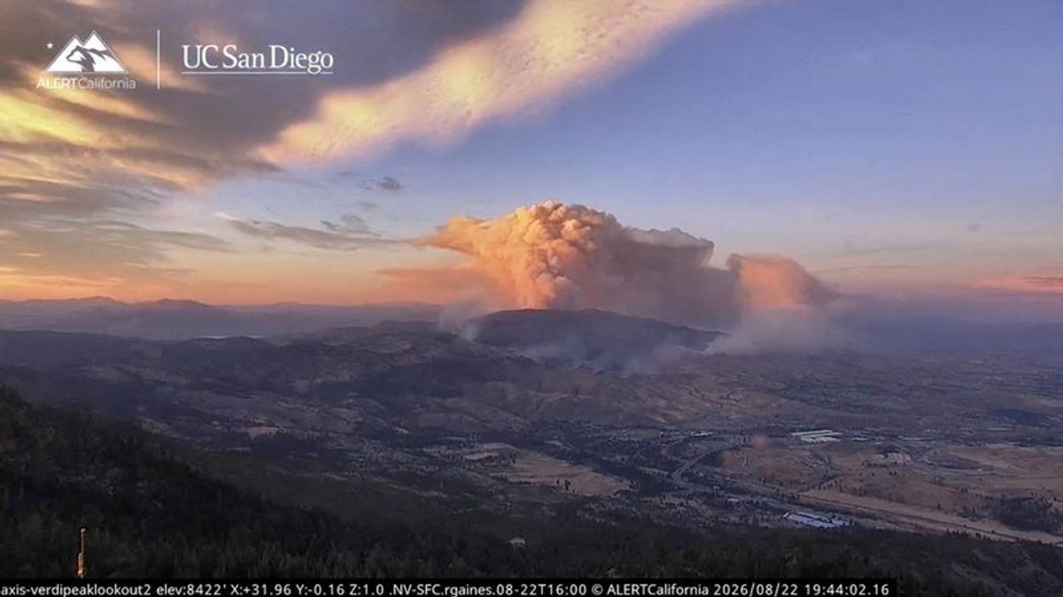 How Reuters Separates Real Images from AI Fakes in the Age of Misinformation