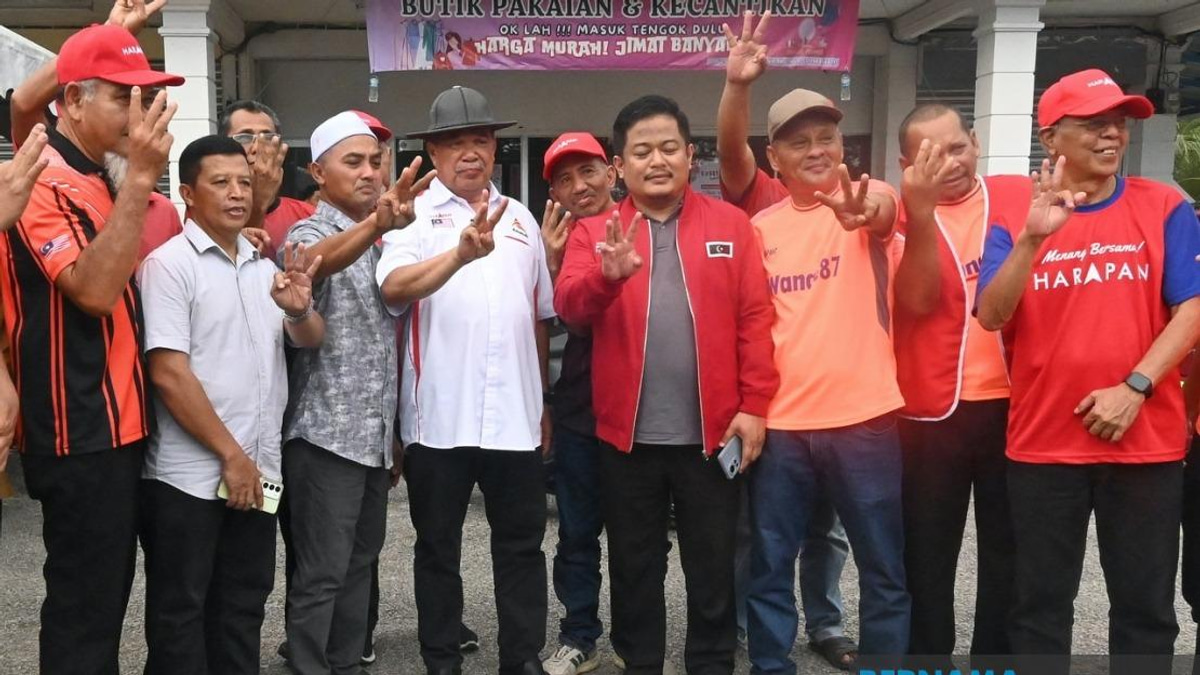 Johor Voters Must Back Pakatan Harapan to Realise Manifesto Pledges, Says Mohamad Sabu