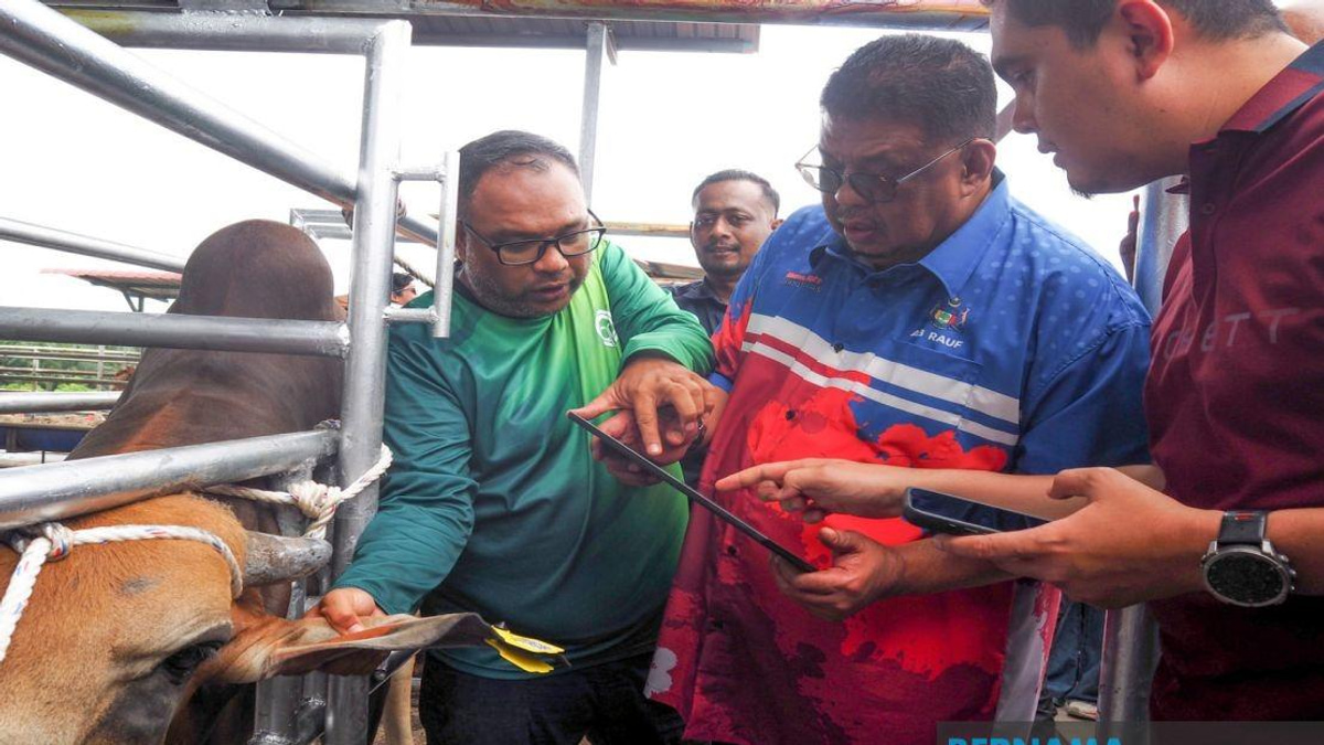 Melaka Deploys QR Tag System to Track Livestock and Enhance Public Safety
