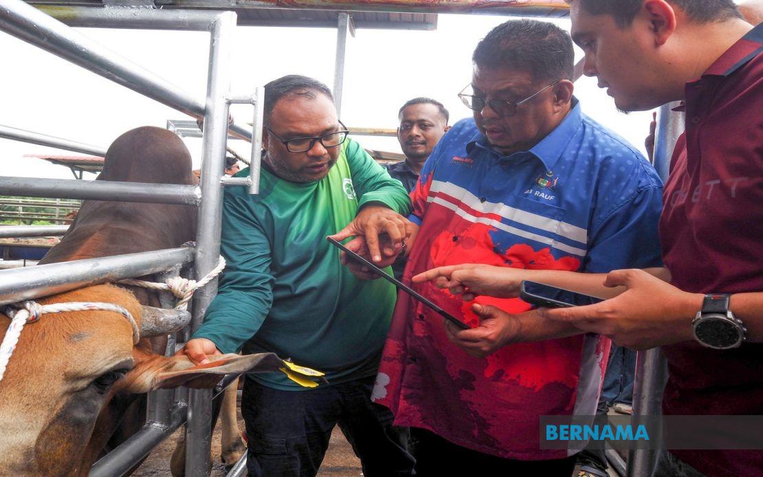 Melaka Deploys QR Tag System to Track Livestock and Enhance Public Safety